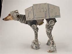 Image result for Star Wars Riding Animals