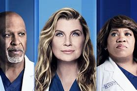 Image result for Grey's Anatomy Season 20 Poster