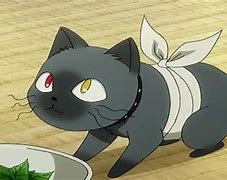 Image result for Cartoon Cat Anime