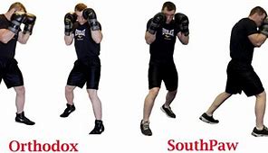 Image result for Semi Crunching Stance Boxing