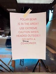 Image result for Funny CoWorker Pics