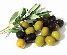 Image result for aceitunadp