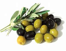 Image result for aceitjna