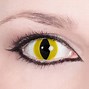 Image result for Cat's Eye Contact Lenses
