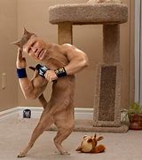 Image result for John Cena Holding Cat