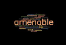Image result for amenabe