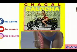 Image result for calchoha