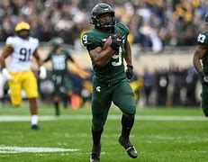 Image result for Michigan State Athletics