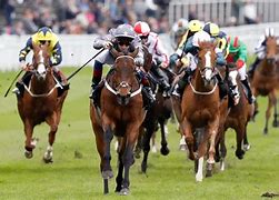 Image result for Sports Horse Racing