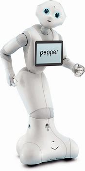 Image result for Reverse Peppa Robot