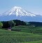 Image result for Mount Fuji Volcano