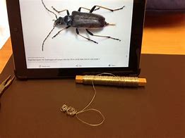 Image result for How to Make Wire Insects