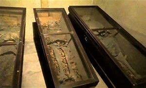 Image result for Capuchin Crypt in Brno