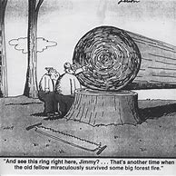 Image result for Far Side Tree Cartoons