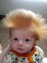 Image result for Small Head Baby Meme
