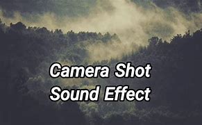 Image result for Camera Shot Sound