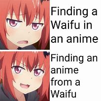 Image result for Frerin Memes Anime