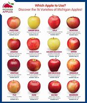 Image result for Names of Apple Varieties