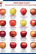 Image result for Apple Differences