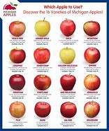 Image result for Apple Variety List