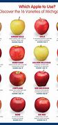 Image result for Different Apple Sizes