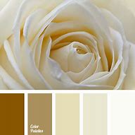 Image result for Grey and Gold Color Palette