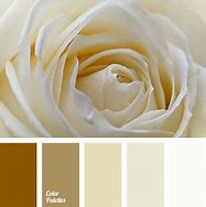 Image result for Rose Gold Color Hex