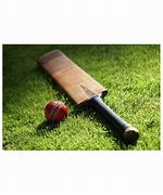 Image result for Paper Cricket Push Pin