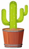 Image result for Cactus Graphic