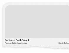 Image result for Pantone Cool Grey 1