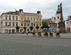 Image result for chocień
