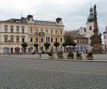 Image result for chocień