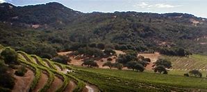 Image result for Carlisle Old Hill Ranch
