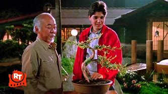 Image result for Tree in Karate Kid