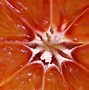 Image result for Apple's Oranges Tomatoes