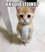 Image result for Any Questions Meme Cute