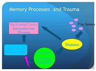 Image result for Place and Memory PDF