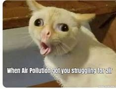 Image result for Smoky Air Meme