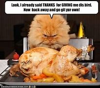 Image result for Thanksgiving Fat Meme