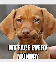 Image result for Monday the Best Day of the Week Meme