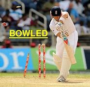 Image result for Dismissal Cricket