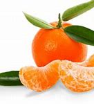 Image result for Mandarin Oranges