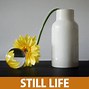 Image result for Abstract Still Life Objects