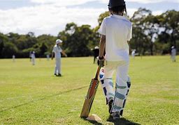 Image result for Children Playing Cricket Outside Images