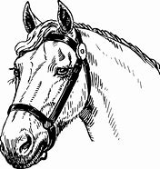 Image result for Horse Head Black Outline