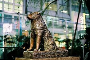 Image result for Shibuya Train Station Hachiko