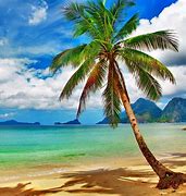 Image result for Desktop Beach Scenes