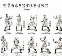 Image result for All Shaolin Kung Fu Styles