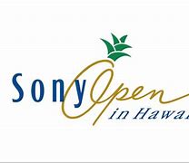 Image result for Sony Open Logo