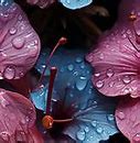 Image result for 2015 Best iPhone Wallpapers